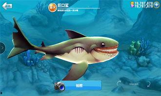 饥饿鲨最新爆料,揭秘深海巨兽的神秘生活